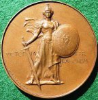Lloyd George Great War medal