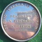 Edward VI Grammar School Birmingham medal