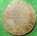 Charles I, Tribute to Henrietta Maria 1628, silver medal by Nicholas Briot