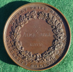 London, University College, Henry Morley medal, large bronze prize medal, by N Macphail for Pinches