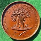 Wales, Rhuddlan Eisteddfod 1850, bronze medal