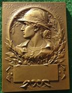 France, Great War, Battle of Verdun 1916, bronze medal 1917 by George Prudhomme